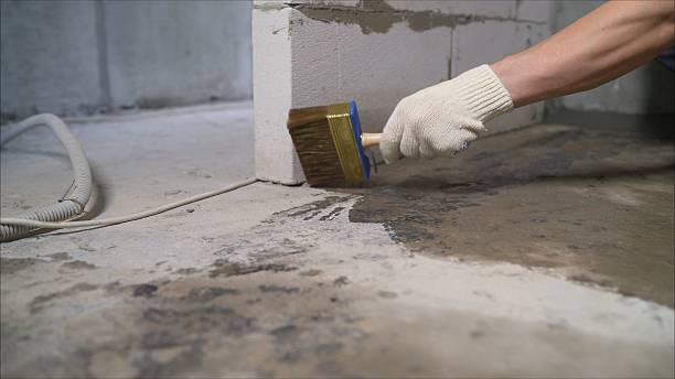 Top rated local Basement Waterproofing specialists in White Pigeon, MI